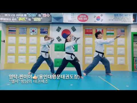 영탁 - 찐이야 태권체조 오산 용인대 명문 태권도 "엘사"범님의 흥🌟들어재껴👍🏻