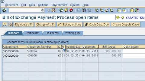 SAP FICO VIDEO TRAINING TUTORIALS 0045 BILL DISCOUNTING (AR) ECC6 - BAYISETTI