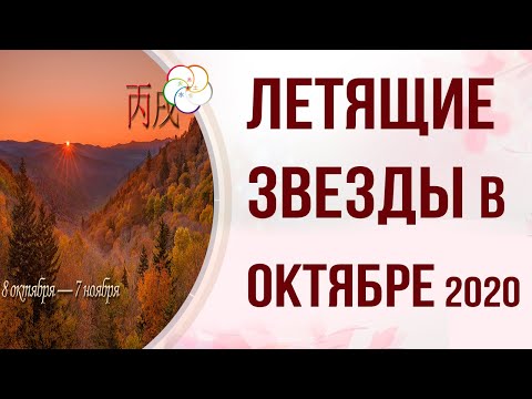 ФЭНШУЙ 2020:  Прогноз на месяц Огненной Собаки  по Летящим звёздам. ОКТЯБРЬ 2020