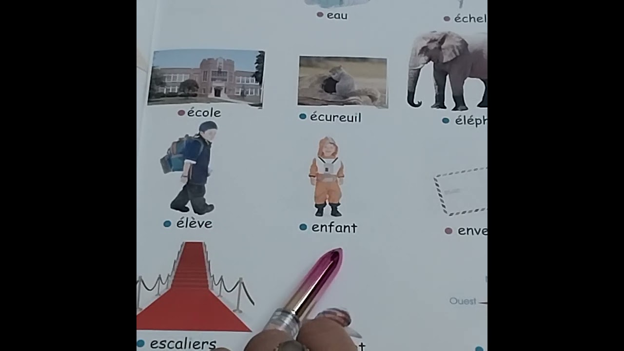 حصيلة كلمات بحرف  D, E , F باللغة الفرنسية معكم ناريمان إسماعيل