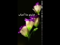 جمل رائعة عن العام الماضي 2017