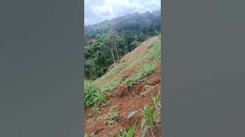 siêu phẩm 3hec 6 view thác suối đá giá 1750 #batdongsan