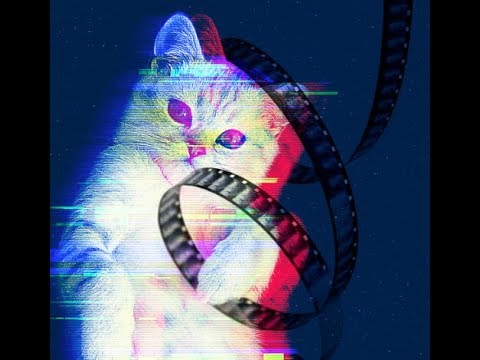 Nuzzle up to the Cat Film Festival (actually a single compilation film) at  Midtown Cinema Sept. 10