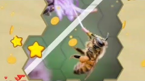 Bee Puzzle Game | Farm & Wild Animals & Vermin Funny Puzzle Games for Kids | Animal Jigsaw Puzzles