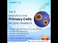 Top 5 Reasons to Use Primary Cells for your Research