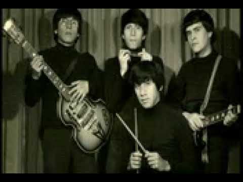 Los Beatniks - Campos de Amor
