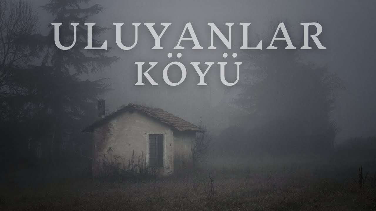 Ziraat Mühendisinin Gittiği Köyde Yaşadığı Paranormal Olaylar | Korku Hikayeleri | Cinli Köy