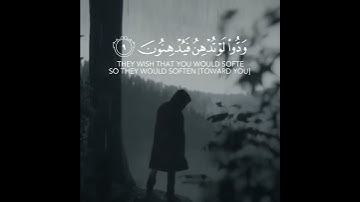 شيخ اسلام صبحي اجمل حالات واتس اب دينية سورة القلم 🌿🖤