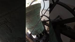 Le campane della Cattedrale di Chiavari suonano a festa