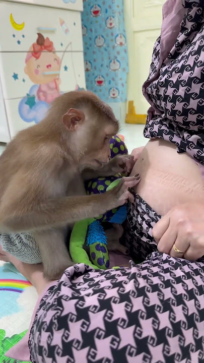 Sam Boy is curious about his mother's pregnant belly#shorts