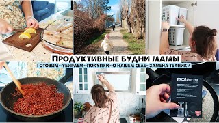 видео: О технике ♥️ Хранение и уборка на кухне ♥️ Ленивая ачма ♥️ Что есть в селе ♥️ Новые сковородки картинка: О технике ♥️ Хранение и уборка на кухне ♥️ Ленивая ачма ♥️ Что есть в селе ♥️ Новые сковородки