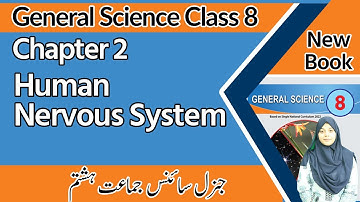 8th Class Science Chapter 2 - Human Nervous System -  - Class 8 General Science New Book Chapter 2