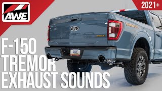 AWE Catback Exhausts for Ford F150 Tremor EcoBoost & V8