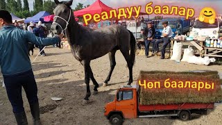 Өзгөн мал базары! Базар оозундагы реалдуу баалар! Чөп баалары! 13.06.2021