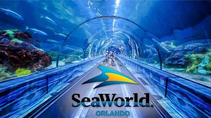 Top Things to Do at SeaWorld Orlando You Cant Miss!