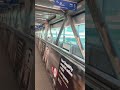 空港を移動中 Long escalator at the airport #rom #italy #travel #shorts #airport #ひとり旅