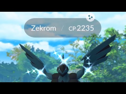 Shiny Zekrom! #pokemon #pokemongo #valorxcam #shiny #raid #fyp #foryou