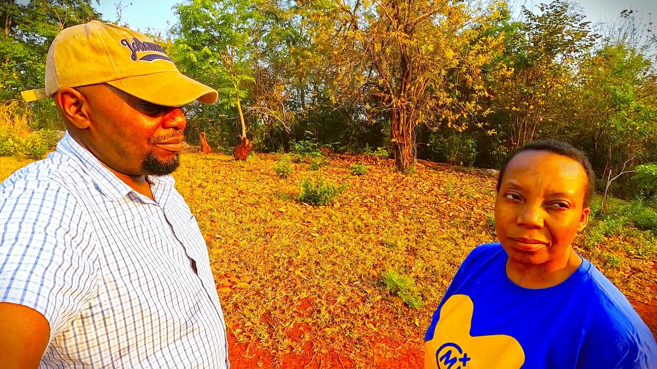 #50 Работа в поле, Чигайо, травма спины. Жизнь в сельской местности.