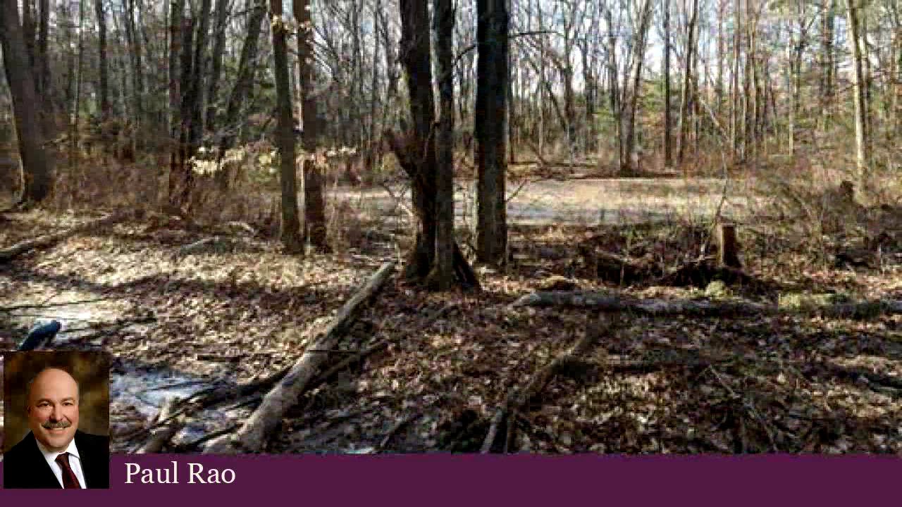 Homes for sale - 1 Walnut Street, Millis, MA 02054