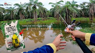 Kebun Banjir Jadi Sarang Haruan | Meriah Soft Frog Kena Sambar screenshot 4