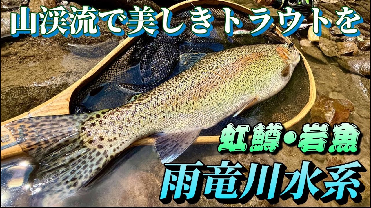 【渓流釣り】道央北部の山渓流で夏の爆釣トラウトルアーフィッシング！