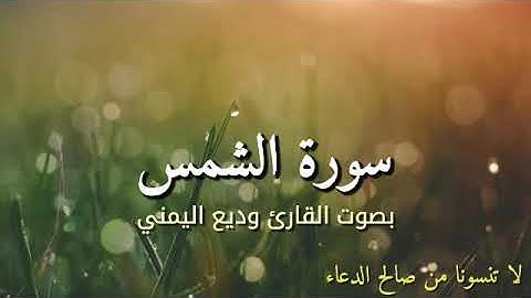 سورة الشمس بصوت القارئ وديع اليمني
