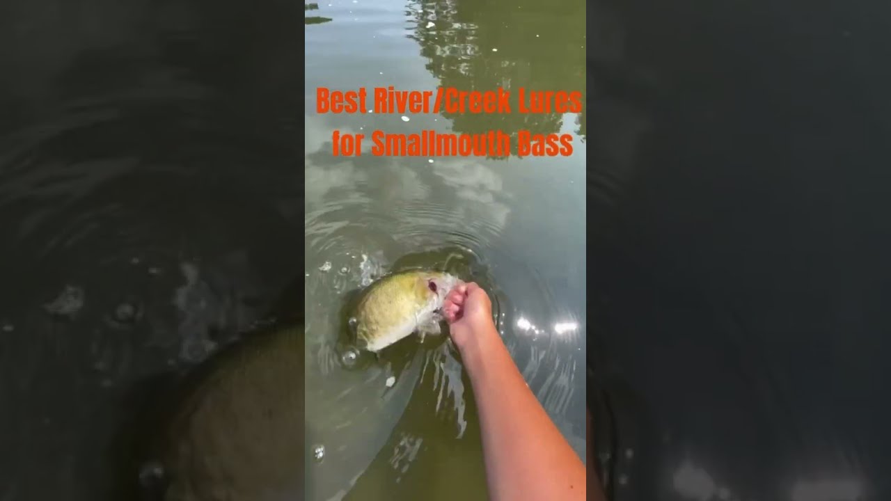 Top three River Lures For Smallmouth Bass | #fishing #smallmouthbass #riverfishing
