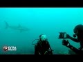 DIVING WITH GREAT WHITES!