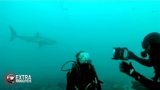 Diving With Great Whites