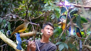 Behhh,,,baru kali ini jumpa sepot mikat burung nya aneh² mas broooo