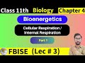 Cellular Respiration | Internal Respiration | Bioenergetics | Class 11 FBISE | Part 1