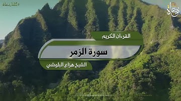 سورة الزمر تلاوة الشيخ هزاع البلوشي #القرآن_الكريم