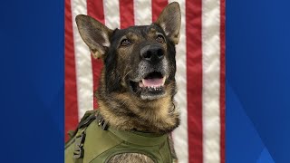 York police K-9 leads officers to Maine man who'd been missing for hours