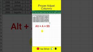 Adjust Columns in Excel