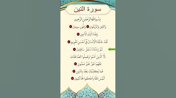 محمد الفقية - سورة التين