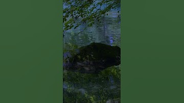 Great is Our LORD (Psalm 147:5)