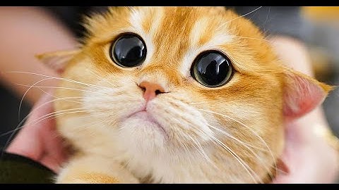 Frontliner @ In Qontrol 2010   Save Exit Planet