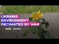 In Ukraine, environment has become another victim of the war