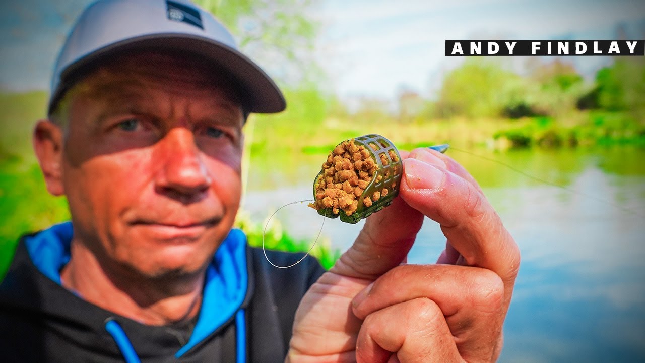 This Is Why I Invented The Pellet Feeder...