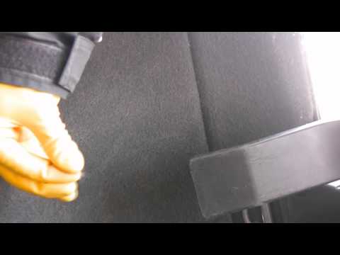 Removing dog hair from a car's carpet using rubber gloves