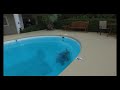 Sea Turtle Stranded In A Swimming Pool  By Hurricane Irma Resucued!