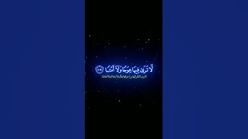#القرانالكريم #القارئ #ياسر_الدوسري #تلاوات #قرآن #راحة_نفسية #قراءة_خاشعة #reels #quran #fyp #viral