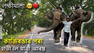 কাজিৰঙাত লক্ষীমালা ঢুকাল ?  Journey starts from Kaziranga