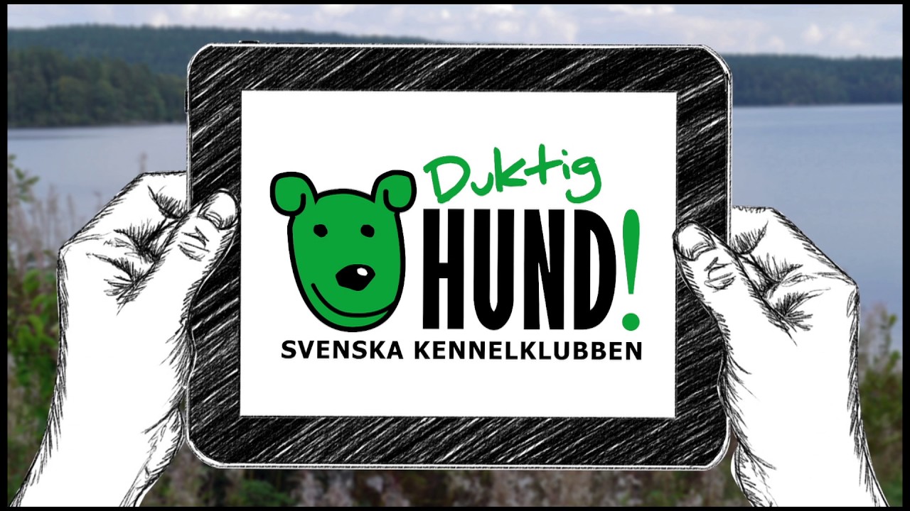 Duktig hund!