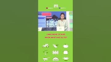 Làng nghề cá khô Vàm Láng nhộn nhịp vào vụ Tết | VTC16