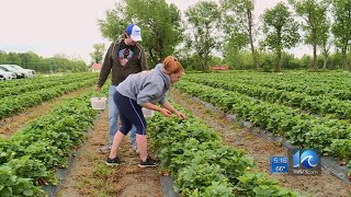 Chesapeake farm holds 'virtual field trips' while schools remain closed