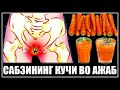 Бу Малумотни Билсангиз Хар Куни САБЗИ Йисиз Бу Жуда Мухим