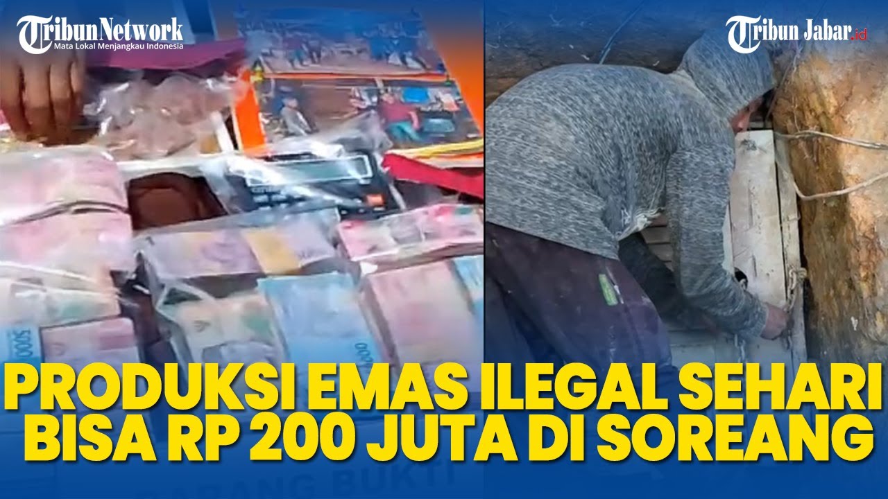 EMAS 403 gram Rp 600 Juta Disita Polresta Bandung dari Penambang Emas Ilegal di Hutan Dekat Soreang