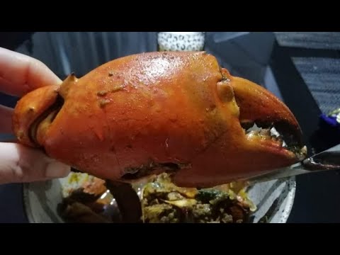 Fijian mud crab