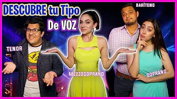 ¿Cuáles son los seis tipos de voz?